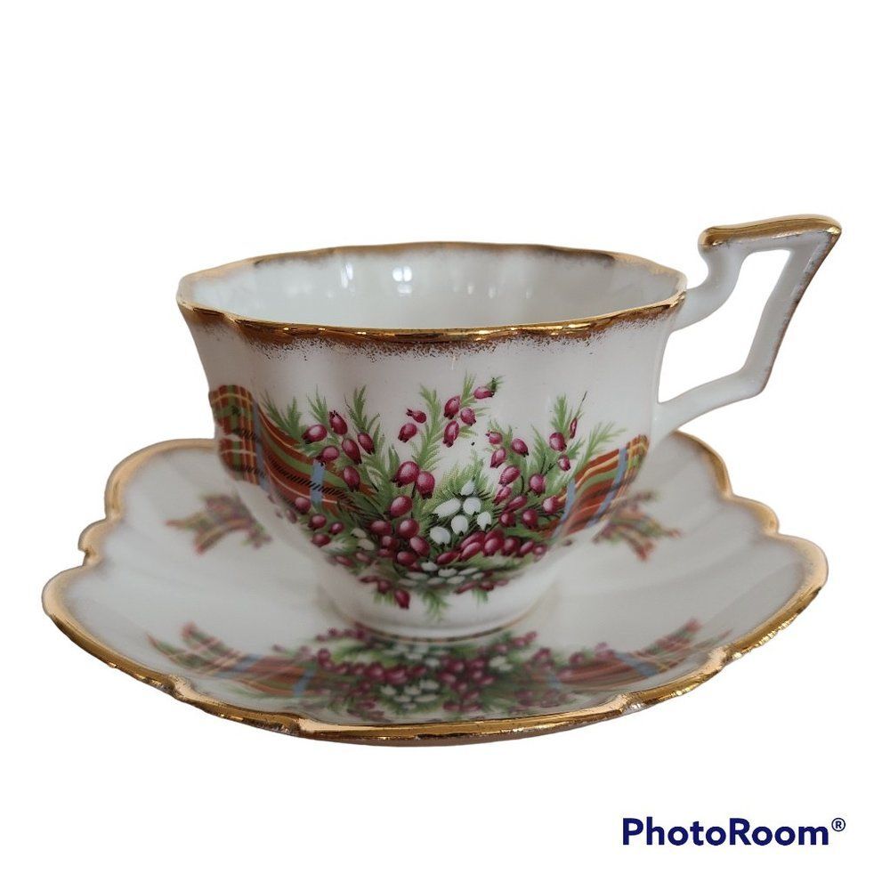 Vintage Salisbury Floral Tartan Teacup and Saucer Bone China England Coffee Tea